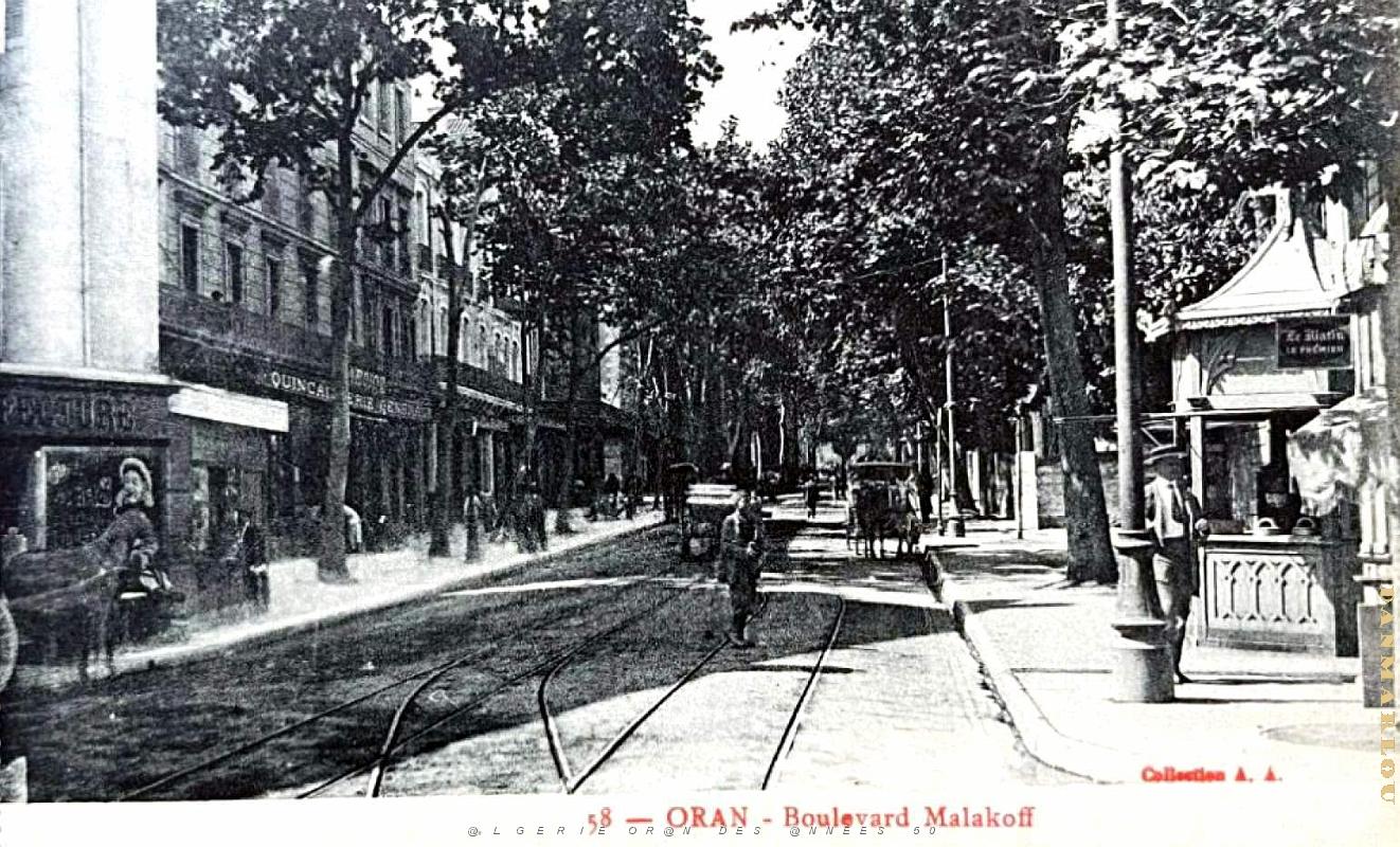 Oran - Boulevard Malakoff - Vue prise de la Place Kleber.jpg